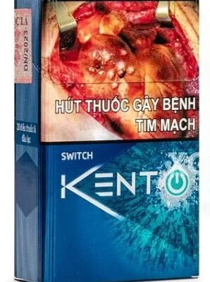 Vietnamese Kent Switch